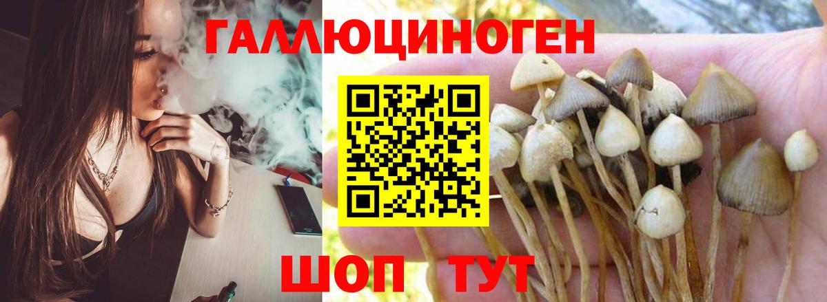 Йошкар-Ола  Галлюциногенные грибы ЛСД  Вход с VPN 